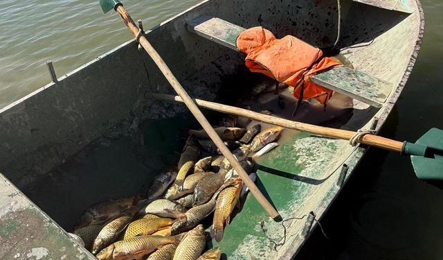Van’da kaçak balık avlayan 2 kişiye 25 bin lira ceza