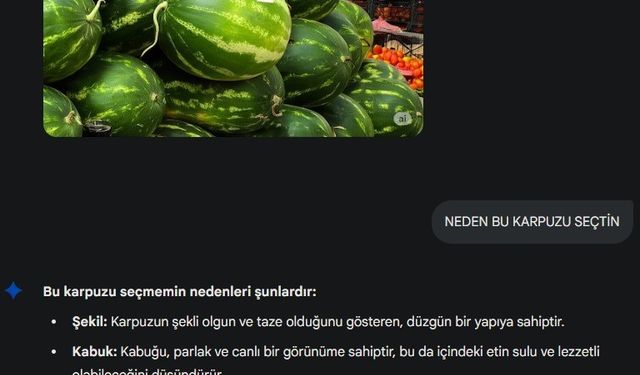 Yapay zeka pazara indi, karpuz seçimine başladı