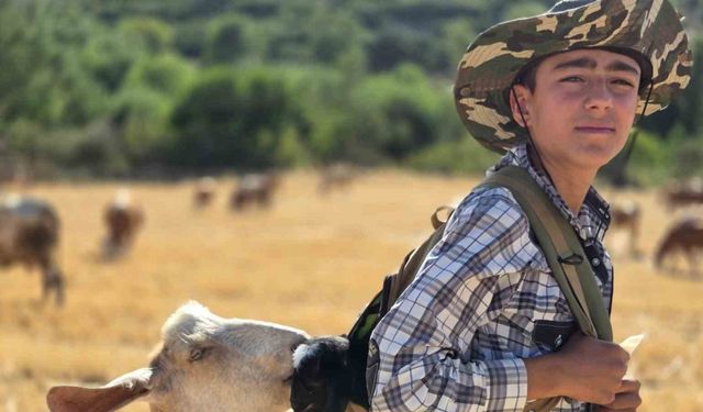 Yeni doğan oğlağı çantasında taşıdı, anne keçi peşinden ayrılmadı