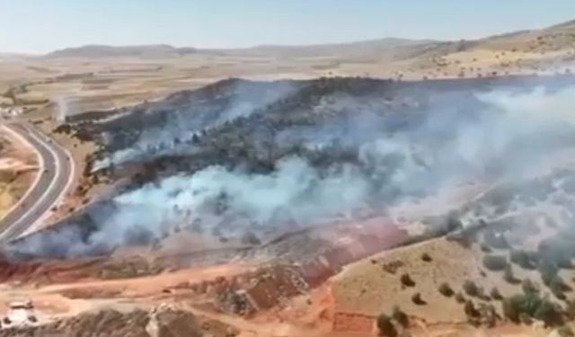 Yozgat’ta 70 dönüm arazi küle döndü