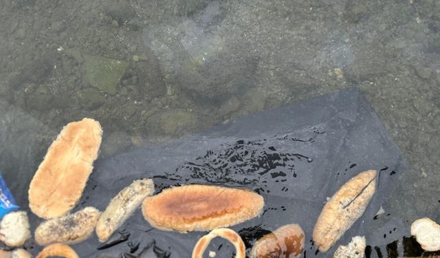 Yüzlerce ekmek, simit ve mısır ekmeğini denize döktüler