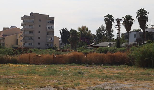 Yangın tehlikesi sadece ormanlarda değil! Kent merkezleri de alarm veriyor