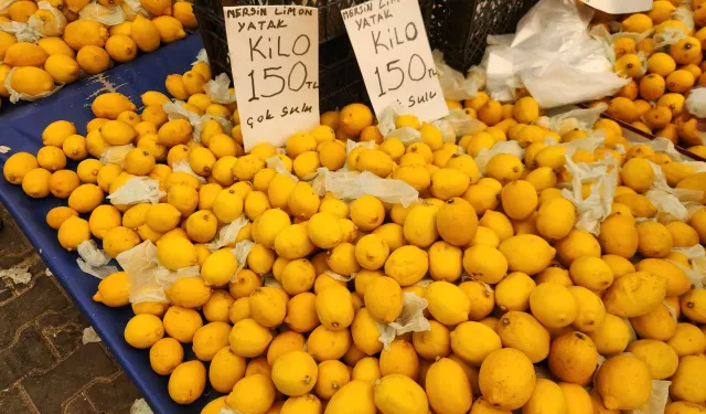 Zincir marketlerde limon fiyatları dudak uçuklatıyor