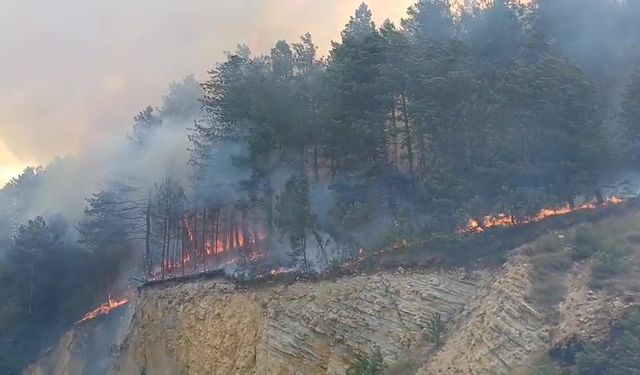 Bolu’da orman yangını başladı: Havadan ve karadan müdahale sürüyor