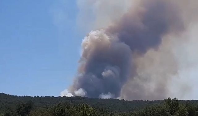 Bolu’da orman yangını başladı