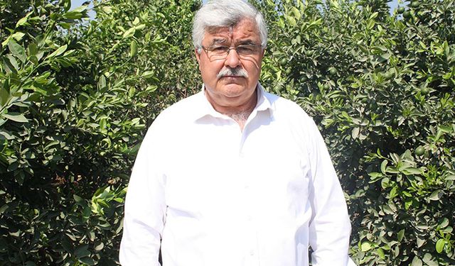 Meyve üretiminde lider olan Mersin’de çiftçi mutsuz