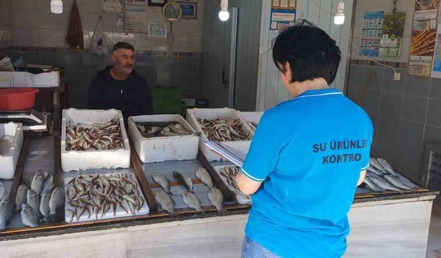 Balık av sezonunun başlaması ile birlikte su ürünleri denetimleri sıklaştırıldı