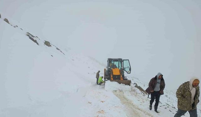 Bayburt’ta kar ve fırtına çobanı yaylada yakaladı: Sürüsüyle fırtınada mahsur kalan çoban kurtarıldı