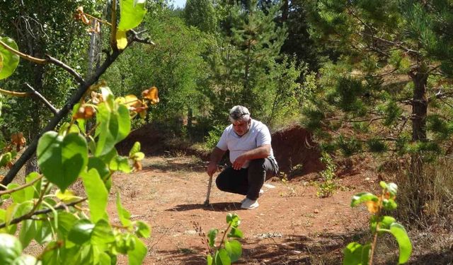 Bayburt’ta kehribarın zorlu mesaisi: Topraktan çıkarılan fosilleşmiş ağaç reçinesi takı ve tespihe dönüştürülüyor