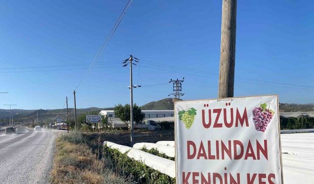 Dalından satışla ekonomiye katkı