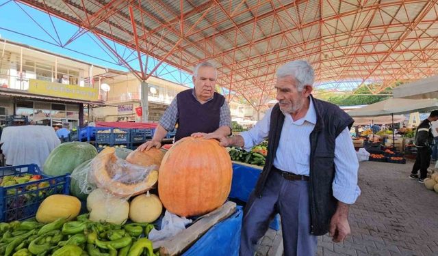 Darende’nin meşhur bal kabağı üreticinin yüzünü güldürüyor