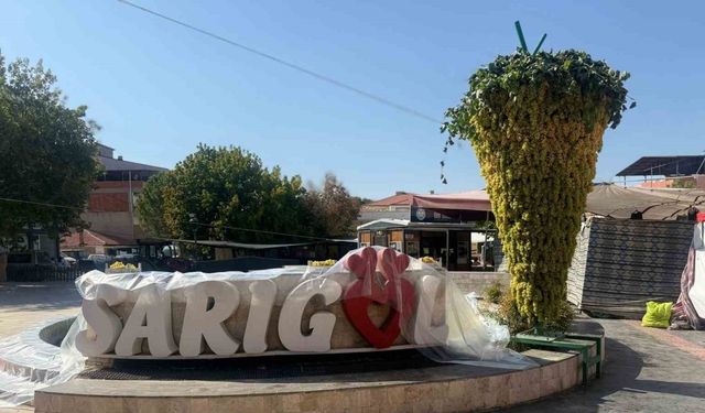 Dev üzüm salkımı festivale damga vurdu