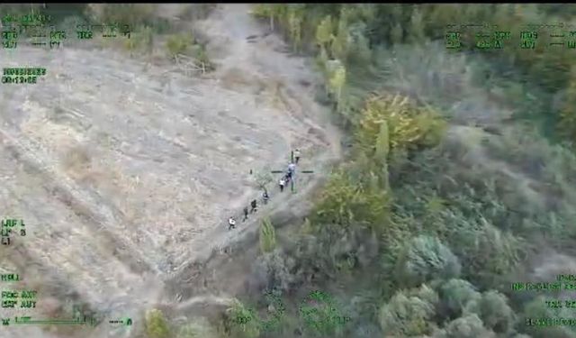 Diyarbakır’da piyasa değeri 1 milyar lira olan 12 bin 865 kök kenevir ele geçirildi