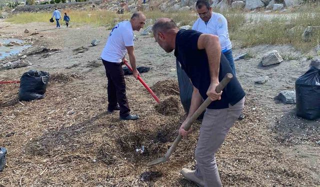 Doğaseverler Van Gölü sahilini temizledi