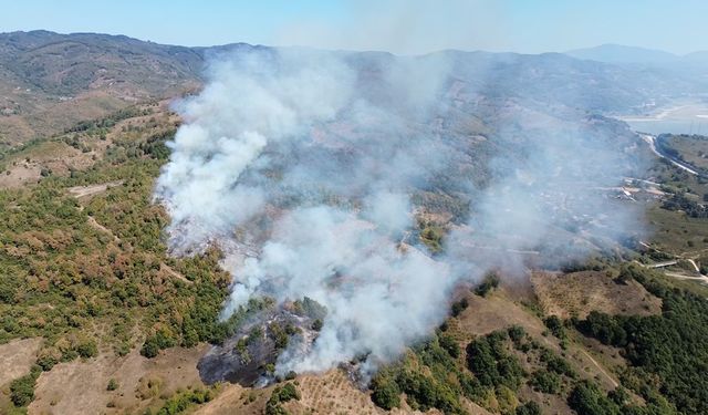 Düzce’de orman yangını