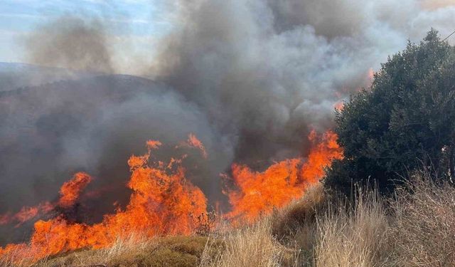 Erdek’te 100 dönümlük alanda yangın