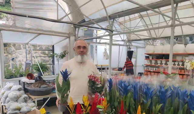 Her şey bir kaktüs ile başladı