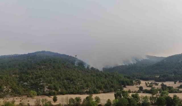Kastamonu’daki orman yangınına müdahale böyle görüntülendi