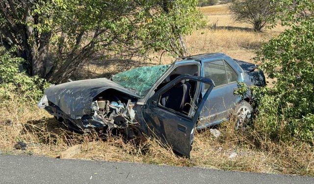 Kazada kopan tekerlek ağacın üzerine fırladı