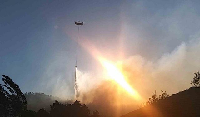 Köyceğiz’de güneşin ilk ışıkları ile hava müdahalesi tekrar başladı