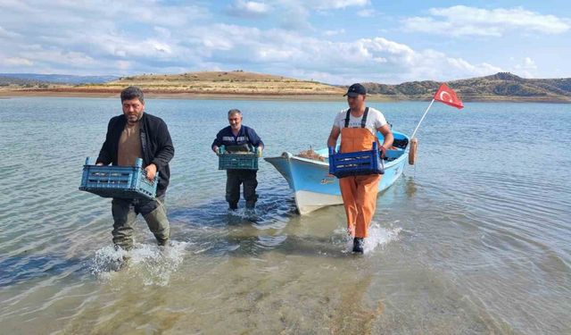 Kuraklık bozkır balıkçılığını vurdu, balıkçılar iç pazara yöneldi