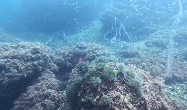 Marmara Denizi’nde yeni müsilaj alarmı