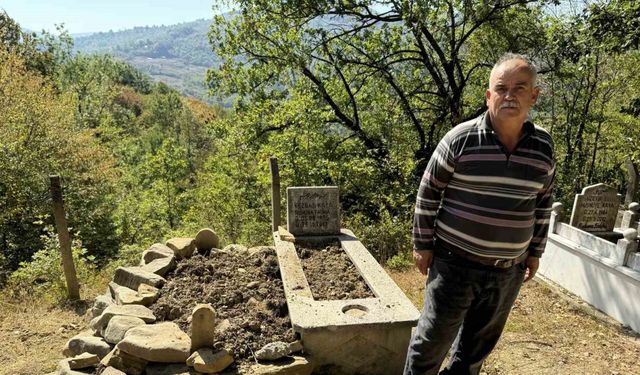 Mezarı kazıp tahtaları kıran ayı cenazeye ulaşamadan kaçtı