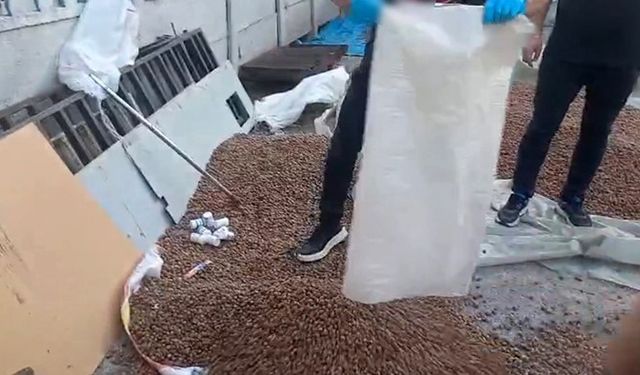 Sakarya’da uyuşturucu zulası fındık çuvalından çıktı