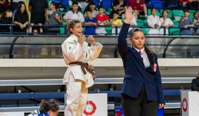 Şanıer kardeşler farklı branşlarda başarıdan başarıya koşuyor