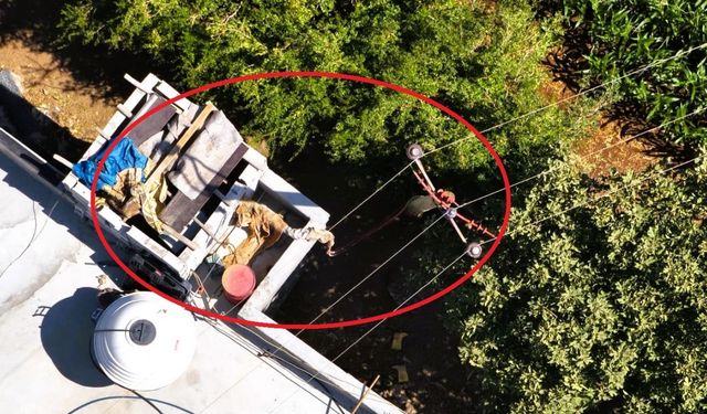 Şanlıurfa’da 200 dönümlük tarlayı kaçak elektrikle suladılar