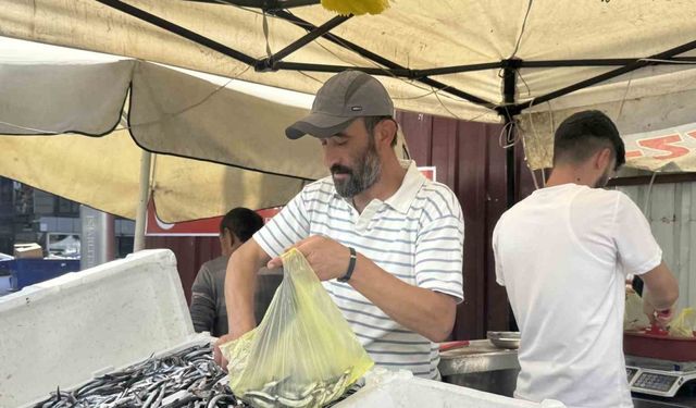 Tezgahlarda hamsi bolluğu