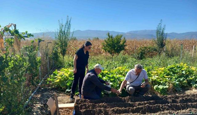 Tokat’ta salep üretimine başlanıldı