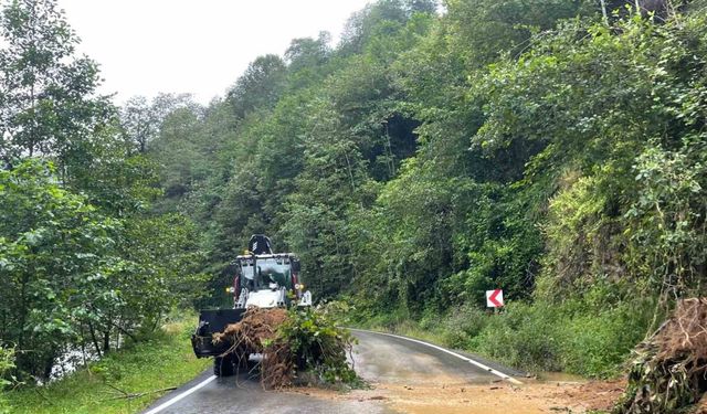 Trabzon’da şiddetli yağış heyelanlara neden oldu