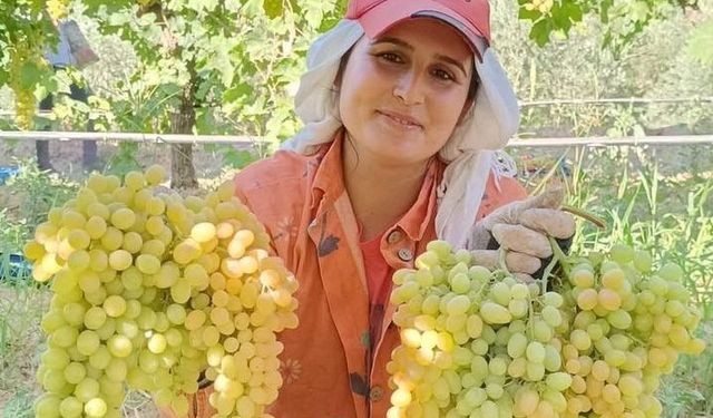 Üzüm yiyin, hastalıklardan korunun