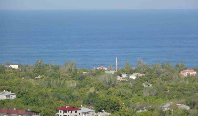 Van Gölü manzarası gayrimenkul piyasasını canlandırdı