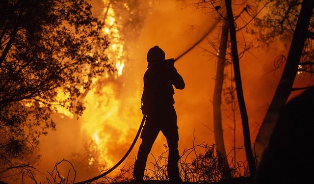 Orman yangınlarında hayatını kaybeden vatandaşlar 'şehit' statüsüne alındı