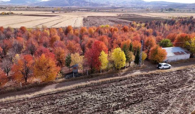 4 mevsim farklı bir manzara sunuyor, sonbaharda mest ediyor