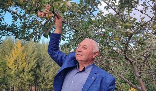 60 yaşındaki çiftçi: "İlk kez böyle bir şey görüyorum"