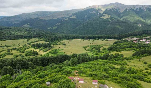 Alpler’i andıran manzarasıyla Cimban Yaylası ziyaretçileri mest ediyor