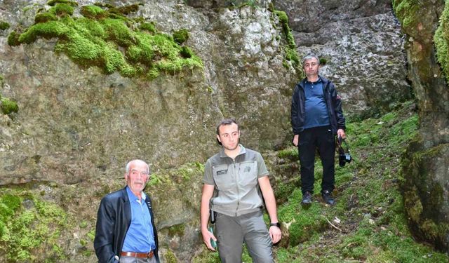 Bin 700 rakımlı zirvede 4 kilometre uzunluğundaki mağara görenleri mest ediyor