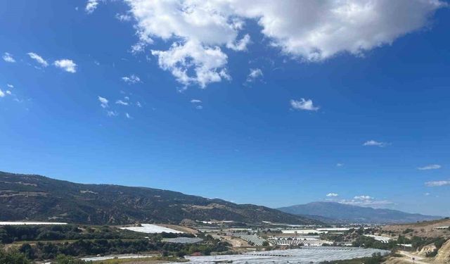 Çekirdeksiz üzümler koruma altında