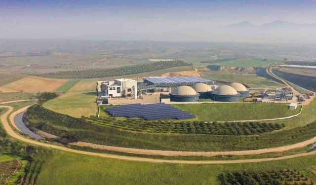 Ecogreen Enerji halka arz oluyor