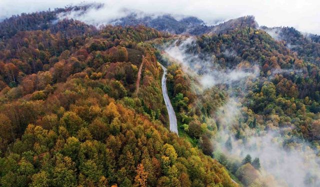 Film platosunu aratmayan manzara: Sisler altındaki Çam Dağı hayran bıraktı