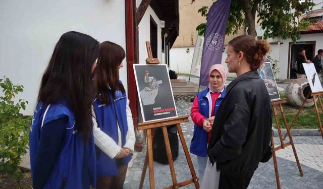 Gazze’de yaşanan dramı afişlerle anlattılar