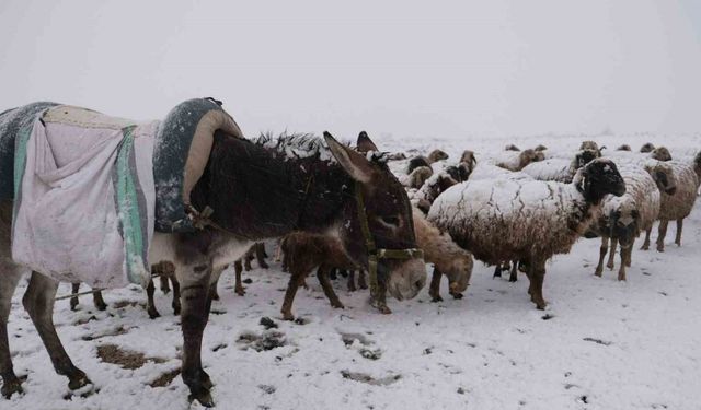 Göçerler kara yaylada yakalandı