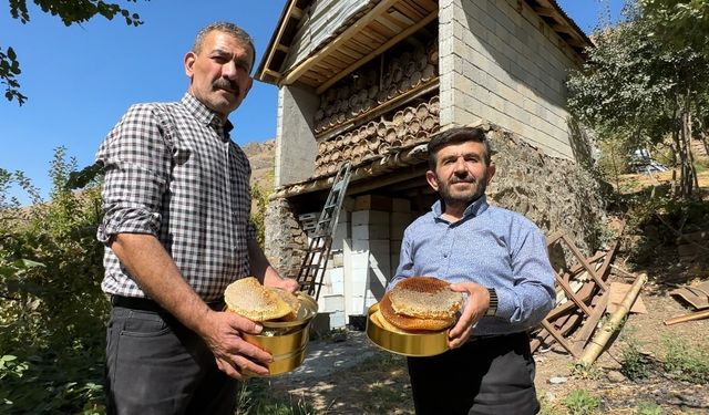 Hakkari dağlarında bal hasadı başladı