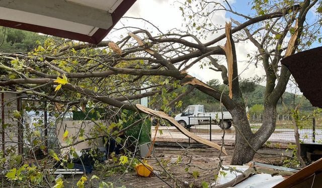 Hortum ve yıldırım Havran’da hasara yol açtı