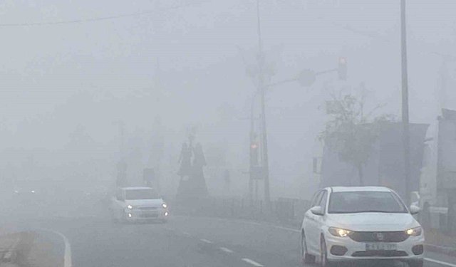 Iğdır’da yoğun sis etkili oldu