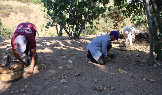 İncir üreticisi Aydın Ziraat Odası Başkanı Kendirlioğlu’na ateş püskürdü