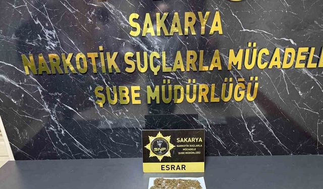 İstanbul’daki kuyumcu soygunundaki 130 bin dolar Sakarya’da ele geçirildi